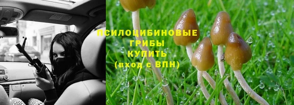 тгк Верхний Тагил