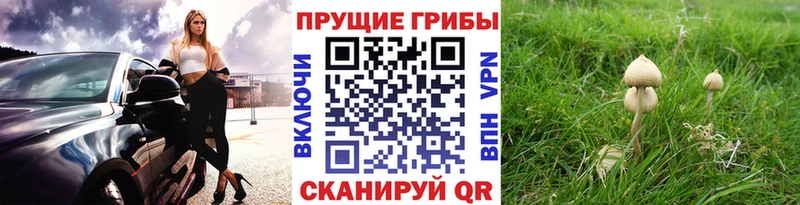 Псилоцибиновые грибы Magic Shrooms  KRAKEN вход  Семёнов 